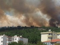 AYDOS ORMAN YANGINIYLA İLGİLİ YENİ GELİŞME; 1 KİŞİ GÖZALTINA ALINDI
