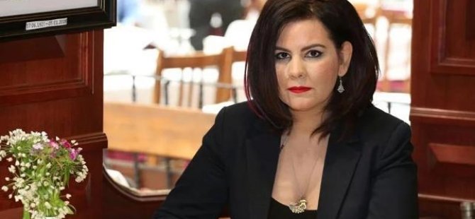 EVRENSEL YAZARI GÖZALTINA ALINDI