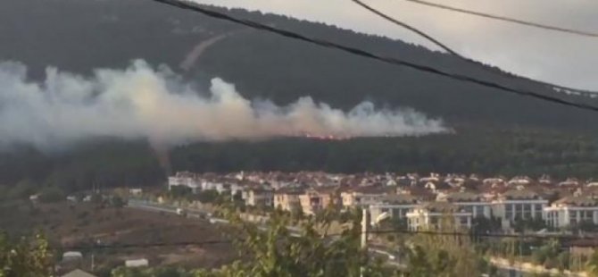 PENDİK KURTKÖY'DE YANGIN!
