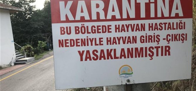 BURSA'DA ŞAP HASTALIĞINA KARANTİNA UYGULAMASI