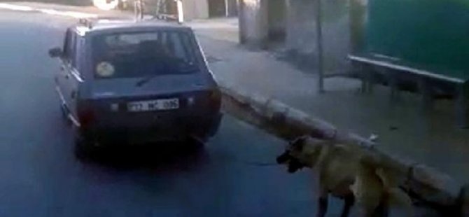 KÖPEĞİ ARABAYA BAĞLAYIP SÜRÜKLEYEN SAPIK ARANIYOR