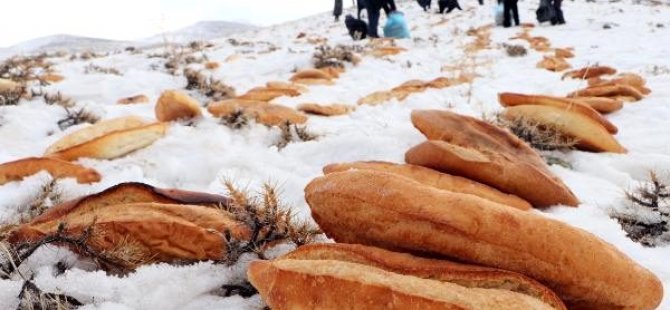 DOĞAL AFETLERDEN KORUNMAK İÇİN DAĞA EKMEK BIRAKTILAR