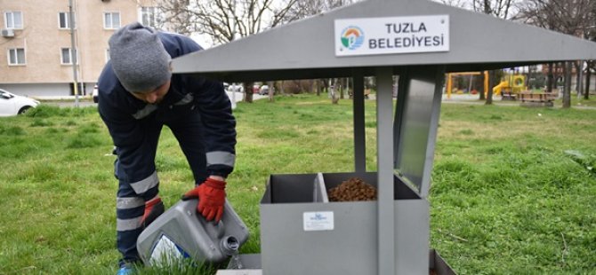 TUZLA BELEDİYESİ'NDEN  SOKAK HAYVANLARINA DÜZENLİ MAMA VE SU DESTEĞİ