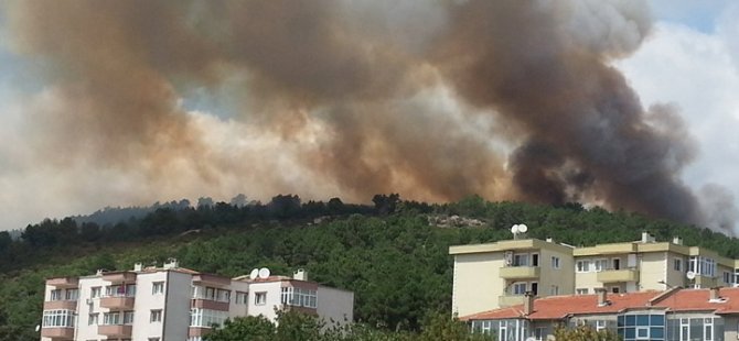 AYDOS ORMAN YANGINIYLA İLGİLİ  YENİ GELİŞME; 1 KİŞİ GÖZALTINA ALINDI