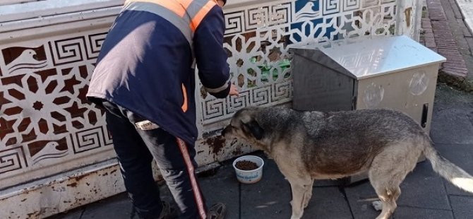 SOKAĞA ÇIKMA YASAĞINDA MİNİK DOSTLAR UNUTULMADI