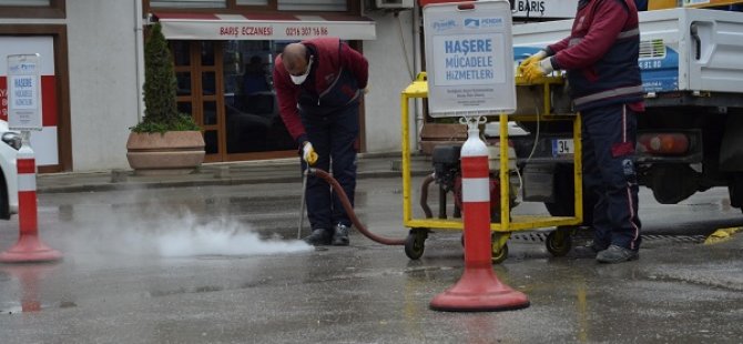 PENDİK BELEDİYESİ'NDEN SİVRİSİNEKLERE KARŞI ERKEN MÜCADELE