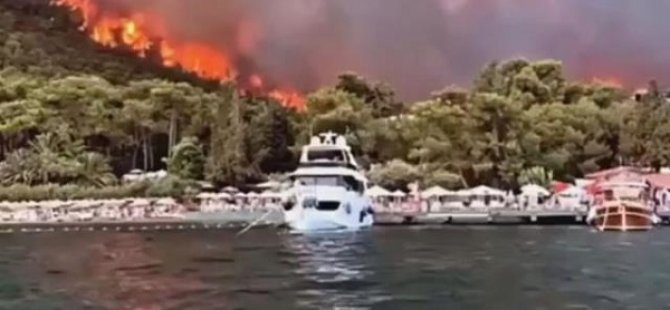 TÜRKİYE'NİN GÜNEYİ YANIYOR! BODRUM VE DİDİM'DE ALEVLERE TESLİM