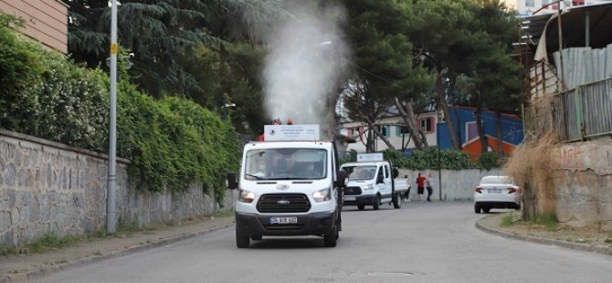 KARTAL'DA HER GÜN 7 MAHALLE SİVRİSİNEK VE HAŞERELERE KARŞI İLAÇLANIYOR