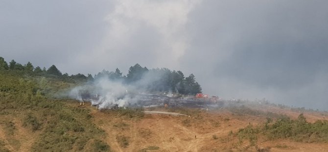 SULTANBEYLİ'DE ÇIKAN YANGINA PENDİK BELEDİYESİ'NDEN MÜDAHALE