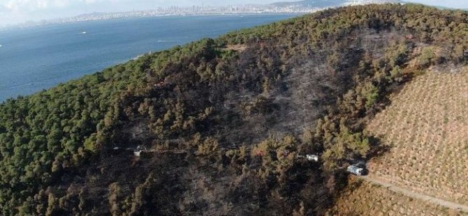 HEYBELİADA' DA ÇIKAN ORMAN YANGINI KONTROL ALTINA ALINDI