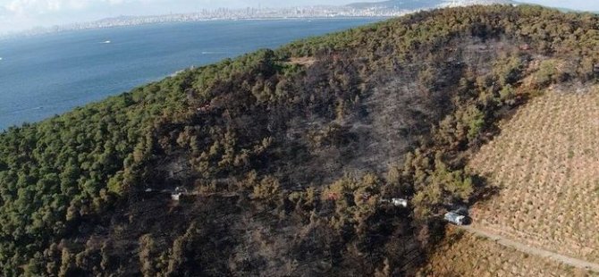 HEYBELİADA' DA ÇIKAN ORMAN YANGINI KONTROL ALTINA ALINDI