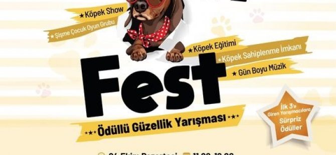 KÖPEKLER PATİFEST'TE YARIŞACAK