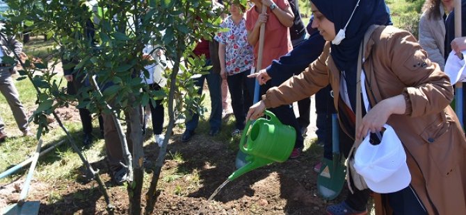 HEMŞİRELER GÜNÜ'NDE ANLAMLI ETKİNLİK;200 FİDAN TOPRAKLA BULUŞTU