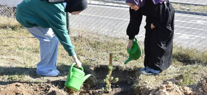 YÜZLERCE FİDANI TOPRAKLA BULUŞTURDULAR