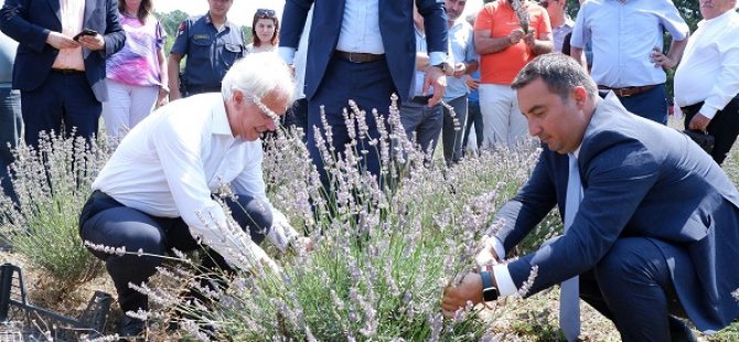 SUSURLUK LAVANTA FESTİVALİ'NE EV SAHİPLİĞİ YAPTI