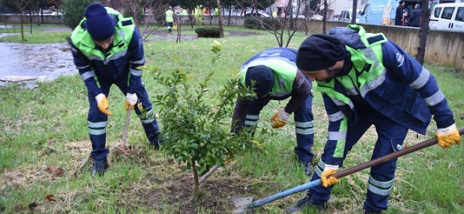 PENDİK'TE ''TOPLU ÇALIŞMA PROGRAMI'' BAŞLADI