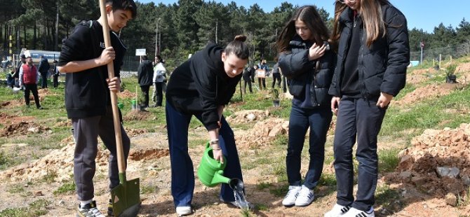 PENDİK'TE AĞAÇLANDIRMA SEFERBERLİĞİ SÜRÜYOR