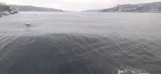 MARMARA'DA MİNİ TSUNAMİ MEYDANA GELDİ