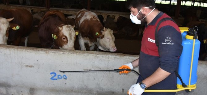 KURBAN SATIŞ VE KESİM ALANLARINI DENETLİYORLAR