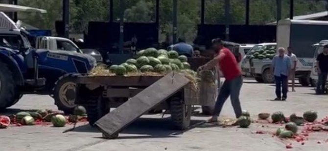 SAKARYA'DA KAPRUZLARI YERE ATARAK PARÇALAYAN ÇİFTÇİYE SORUŞTURMA BAŞLATILDI