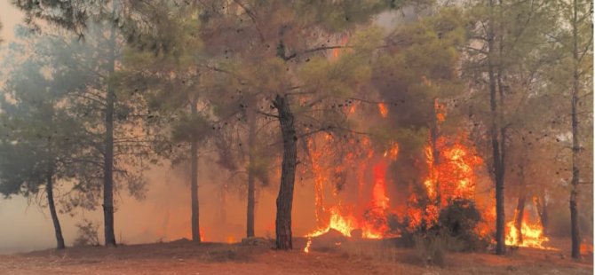 ANTALYA'DA ÜÇ NOKTADA YANGIN;HAVADAN VE KARADAN MÜDAHALE SÜRÜYOR