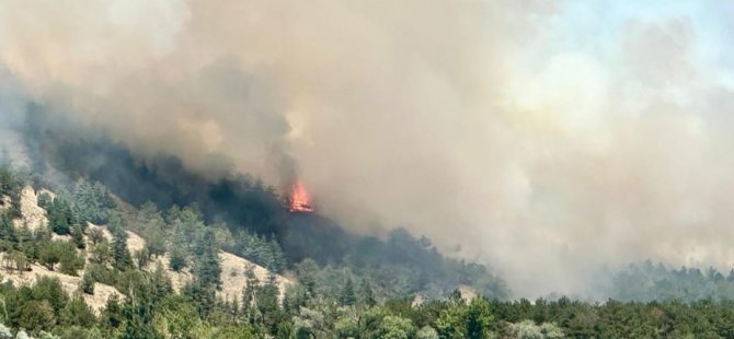 ANKARA ODTÜ ORMANI YAKINLARINDA KORKUTAN YANGIN