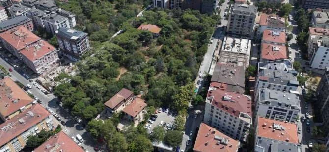 BAŞKAN AHMET CİN'DEN MÜJDE! 100 YILLIK BURLA BİRADERERLER KORUSU PENDİK MERKEZ MİLLET BAHÇESİ OLUYOR
