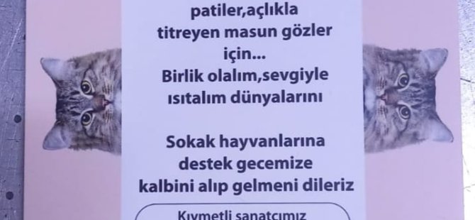PESKDER SOKAK CANLARI İÇİN FARKINDALIK GECESİ DÜZENLİYOR!