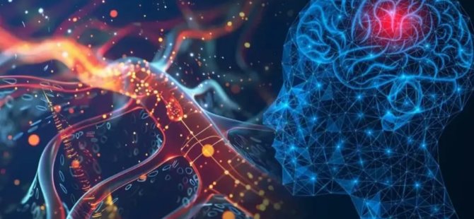 BİLİM DÜNYASINDA YENİ KEŞİF:NADİR GÖRÜLEN NOROLOJİK HASTALIK TANIMLANDI