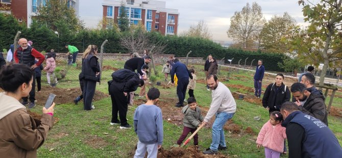 PENDİK'TE 7'DEN 70'E FİDAN DİKME SEFERBERLİĞİ