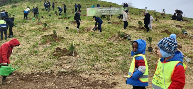 ÖĞRENCİLER 350 FISTIK ÇAMINI TOPRAKLA BULUŞTURDU
