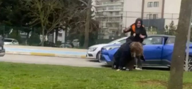 PENDİK'TE TRAFİK KAVGASI PAHALIYA PATLADI: 2 SÜRÜCÜYE DE 360 BİN TL CEZA YAĞDI