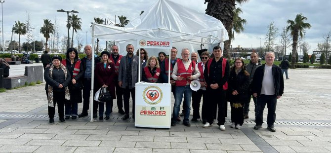 PESKDER'DEN 4 NİSAN'DA SERT AÇIKLAMA:''BELEDİYELER SOKAK CANLARI KONUSUNDA SINIFTA KALDI''