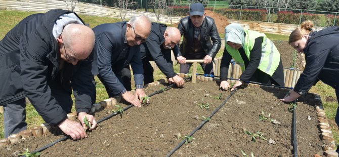 ATA TOHUMU FİDELERİ DİKEREK BAHARA “MERHABA” DEDİLER
