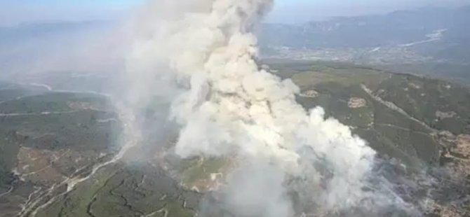 MUĞLA SEYDİKEMER'DE ORMAN YANGINI