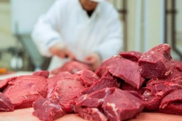 İthal Et Ticareti Rekor Kırdı