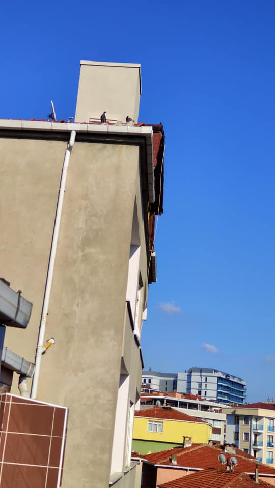 Pendik Belediyesi Duyarsız Kalmadı Baz İstasyonunu Kaldırdı
