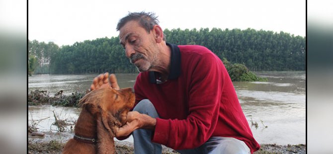 KÖPEĞİNİN YÜZEREK EVE DÖNMESİ GÖZYAŞLARINA BOĞDU