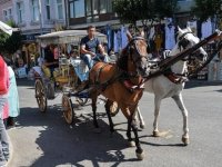 ERDEM GÜL'DEN FAYTON AÇIKLAMASI