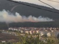 PENDİK KURTKÖY'DE YANGIN!