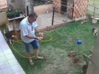 HAMAM BÖCEKLERİNİ ÖLDÜRMEK İSTERKEN BAHÇESİNİ HAVAYA UÇURDU