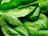 GÜZEL AVRAT OTU TBMM'Yİ DE KARIŞTIRDI