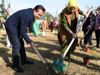 BAŞKAN YAZICI 11 MİLYON FİDANI TOPRAKLA BULUŞTURDU