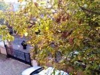 BİR KADININ AÇIM FERYADI SOSYAL MEDYADA YÜREK DAĞLADI