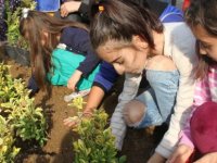 MİNİK ELLER TOPRAKLA BULUŞTU KARTAL'IN PARK MEYDANI YEŞİLLENDİ