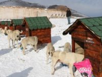 BÖYLE DUYARLI BELEDİYE BAŞKANI GÖRÜLMEDİ