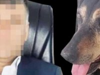 KARTAL'DA İĞRENÇ OLAY! KÖPEĞE TECAVÜZ EDEN  ZANLIYA SOSYAL MEDYADA TEPKİ YAĞDI