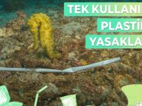 KARTAL BELEDİYESİ GREENPEACE’İN KAMPANYASINA DESTEK VERDİ