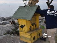 TUZLA'DA SOKAĞA ÇIKMA YASAĞINDA SOKAK HAYVANLARIN İHTİYAÇLARI GİDERİLDİ