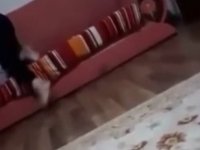 BÖYLE ANNE OLMAZ OLSUN! ÖZ KIZINI ÖLDÜRMEYE ÇALIŞTI SOSYAL MEDYA AYAĞA KALKTI